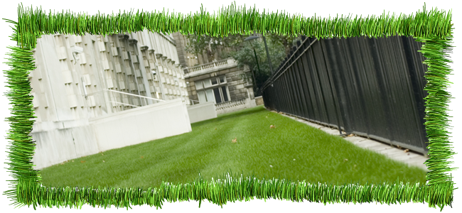 lawn scarification
