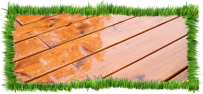 lawn scarification