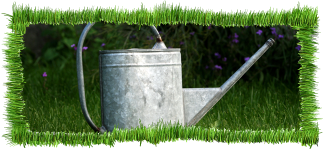 lawn scarification